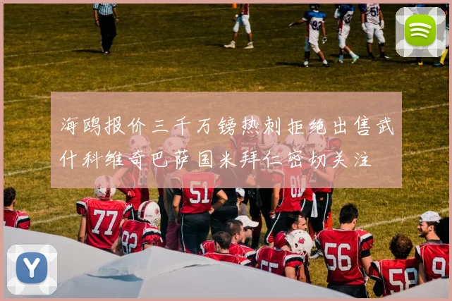 海鸥报价三千万镑热刺拒绝出售武什科维奇巴萨国米拜仁密切关注