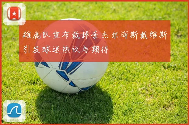 雄鹿队宣布裁掉奈杰尔海斯戴维斯引发球迷热议与期待